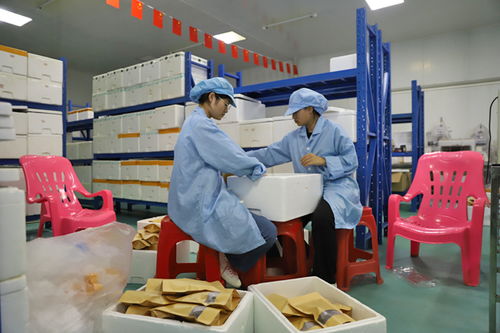 海南忆家食品 发展土糖产业 酿出 甜蜜 生活