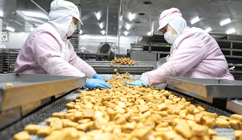 3月9日,辽宁安井食品工人在鱼豆腐生产线上工作.