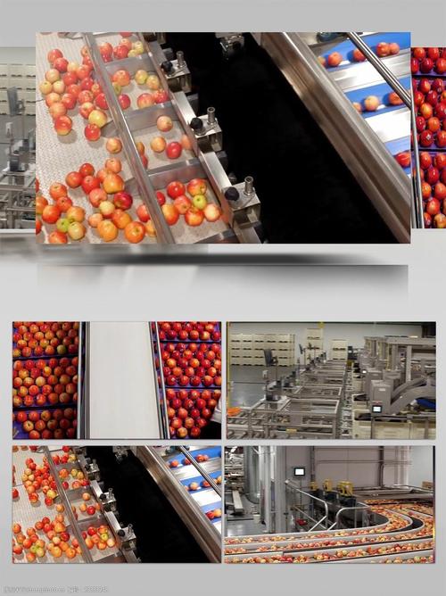 苹果加工生产线深加工食品素材图片-