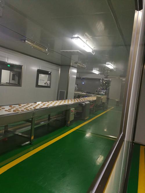 湖南沅江天下洞庭食品厂饼干生产线
